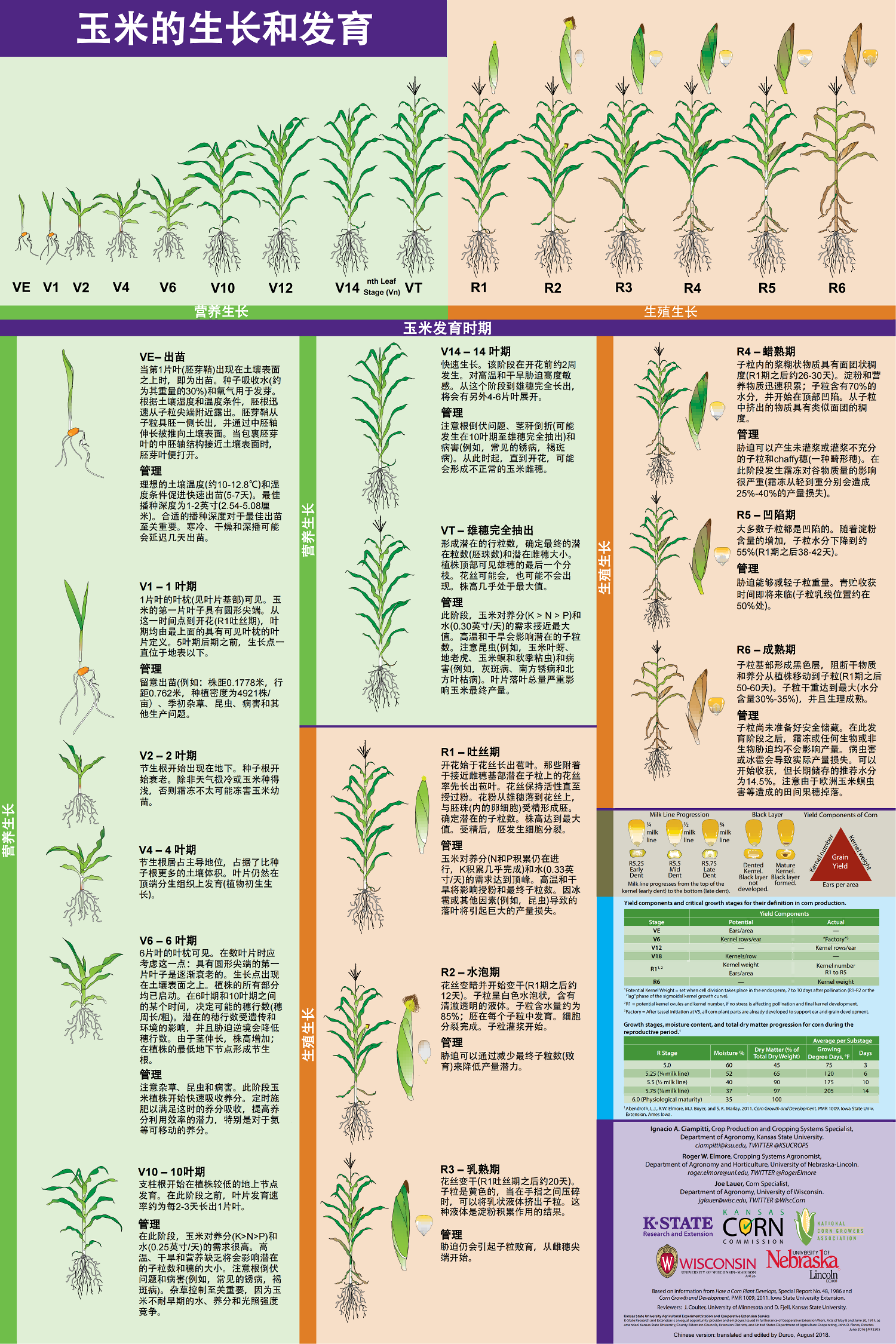 玉米的生長(zhǎng)和發(fā)育（中文版）_00(1).png