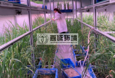 11蘭州大學(xué)生命科學(xué)學(xué)院 (2).png
